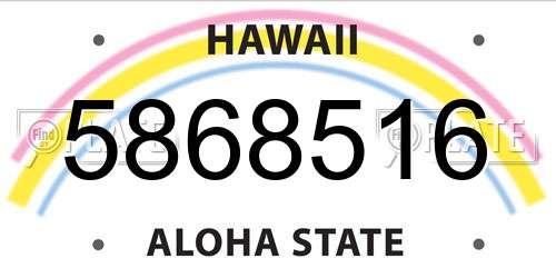 5868516 Hawaii License Plate