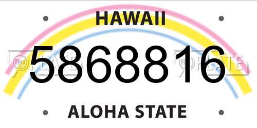 5868816 Hawaii License Plate