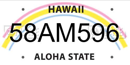 58AM596 Hawaii License Plate