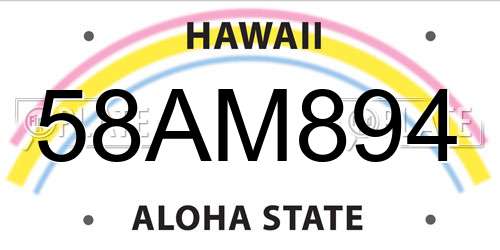58AM894 Hawaii License Plate