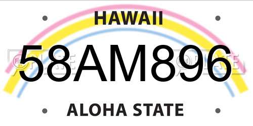 58AM896 Hawaii License Plate