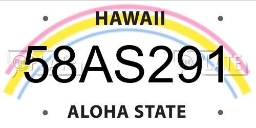 58AS291 Hawaii License Plate