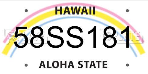 58SS181 Hawaii License Plate