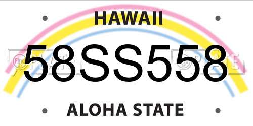 58SS558 Hawaii License Plate
