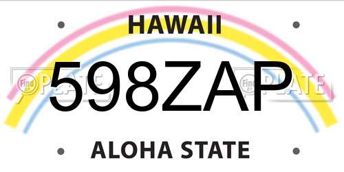 598ZAP Hawaii License Plate