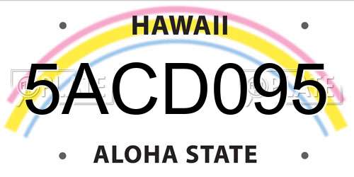5ACD095 Hawaii License Plate