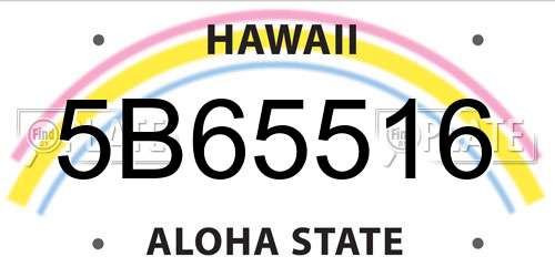 5B65516 Hawaii License Plate