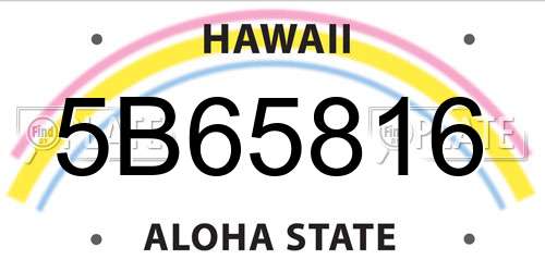 5B65816 Hawaii License Plate