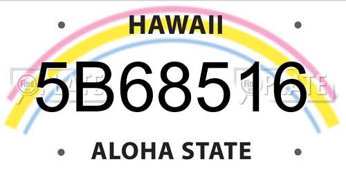 5B68516 Hawaii License Plate