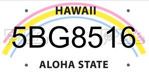 5BG8516 Hawaii License Plate