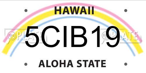 5CIB19 Hawaii License Plate