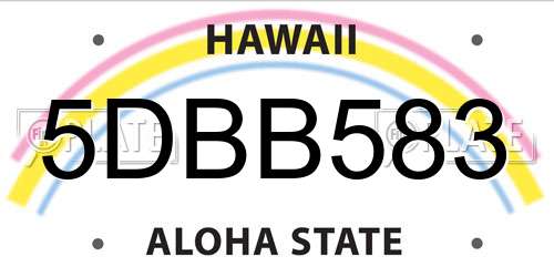 5DBB583 Hawaii License Plate
