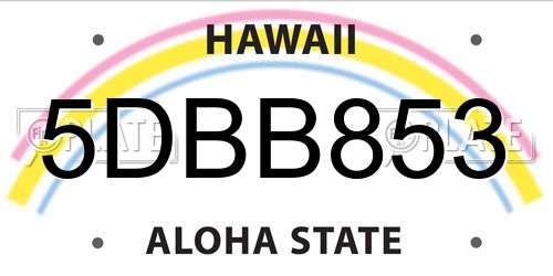 5DBB853 Hawaii License Plate