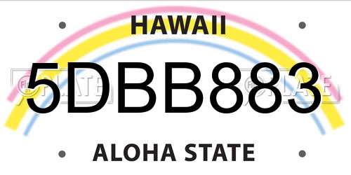 5DBB883 Hawaii License Plate