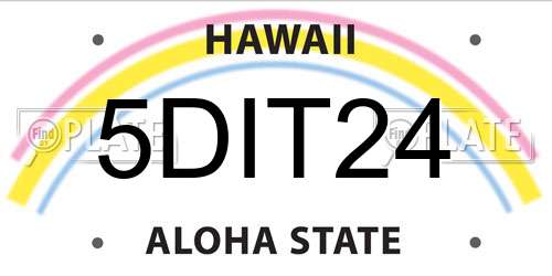 5DIT24 Hawaii License Plate