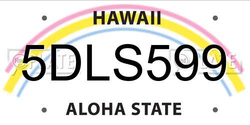 5DLS599 Hawaii License Plate