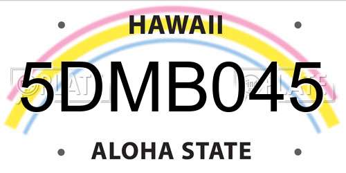 5DMB045 Hawaii License Plate