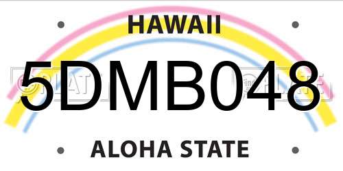 5DMB048 Hawaii License Plate