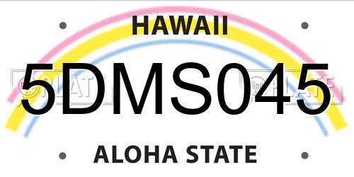 5DMS045 Hawaii License Plate