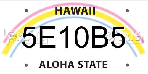 5E10B5 Hawaii License Plate