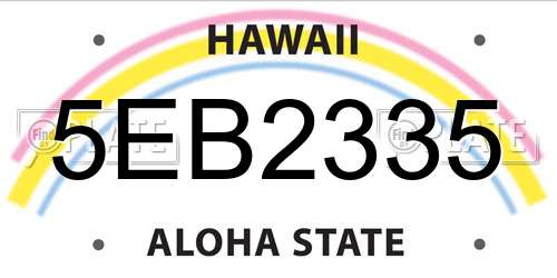 5EB2335 Hawaii License Plate