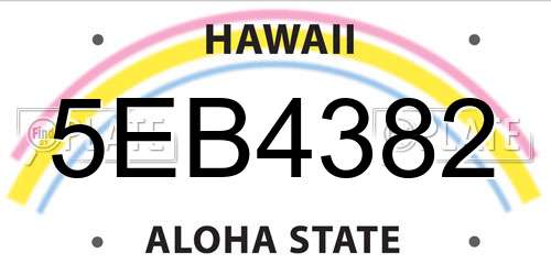 5EB4382 Hawaii License Plate