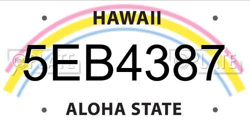 5EB4387 Hawaii License Plate