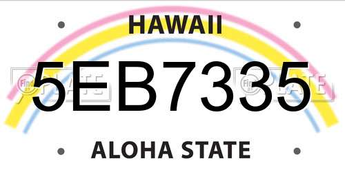 5EB7335 Hawaii License Plate