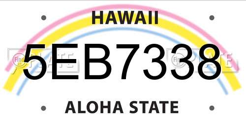 5EB7338 Hawaii License Plate