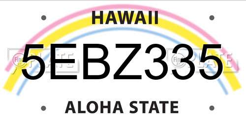 5EBZ335 Hawaii License Plate