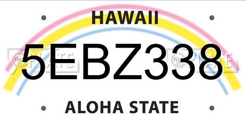 5EBZ338 Hawaii License Plate