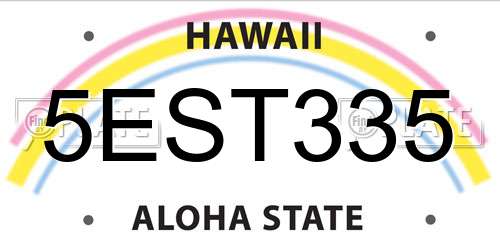 5EST335 Hawaii License Plate