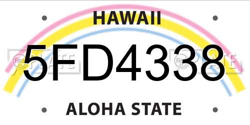 5FD4338 Hawaii License Plate