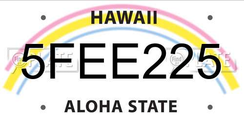 5FEE225 Hawaii License Plate