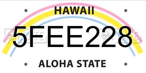 5FEE228 Hawaii License Plate