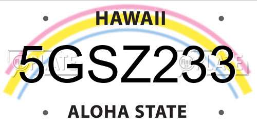 5GSZ233 Hawaii License Plate