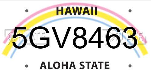 5GV8463 Hawaii License Plate