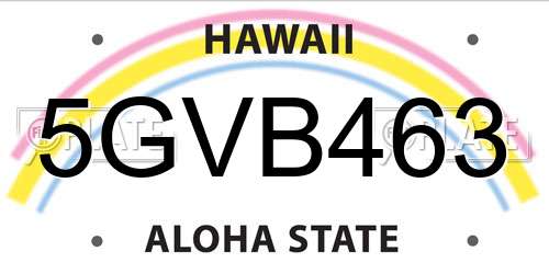 5GVB463 Hawaii License Plate