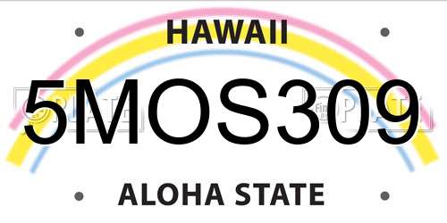 5MOS309 Hawaii License Plate