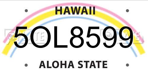5OL8599 Hawaii License Plate
