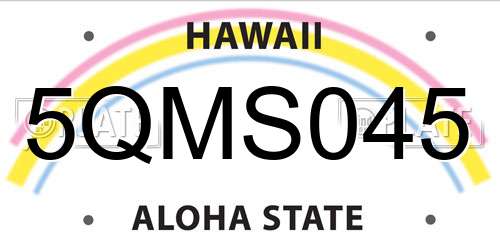 5QMS045 Hawaii License Plate