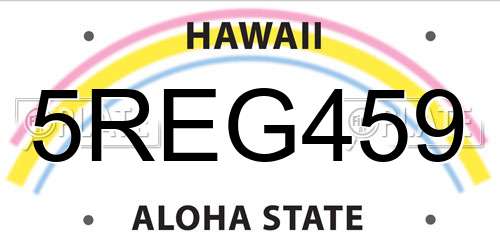 5REG459 Hawaii License Plate