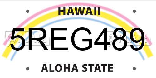 5REG489 Hawaii License Plate