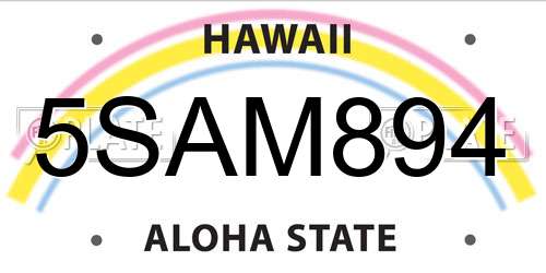 5SAM894 Hawaii License Plate