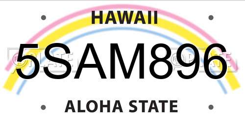 5SAM896 Hawaii License Plate