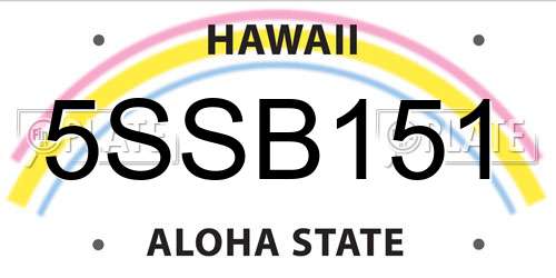 5SSB151 Hawaii License Plate