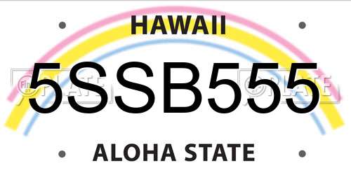 5SSB555 Hawaii License Plate