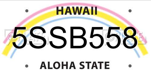 5SSB558 Hawaii License Plate