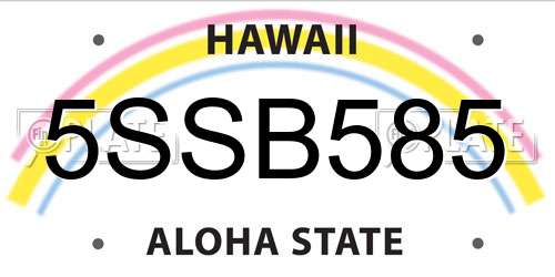 5SSB585 Hawaii License Plate