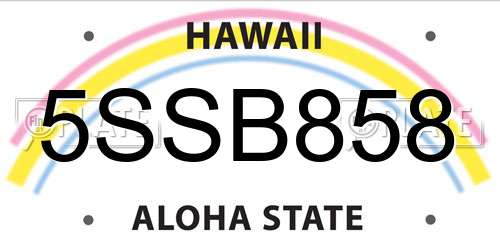 5SSB858 Hawaii License Plate